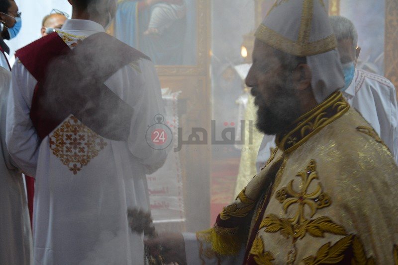 DSC_0393_copy_800x534_2