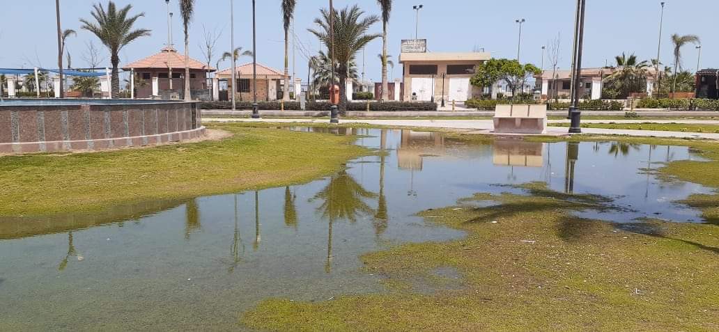 FB_IMG_1619967370049