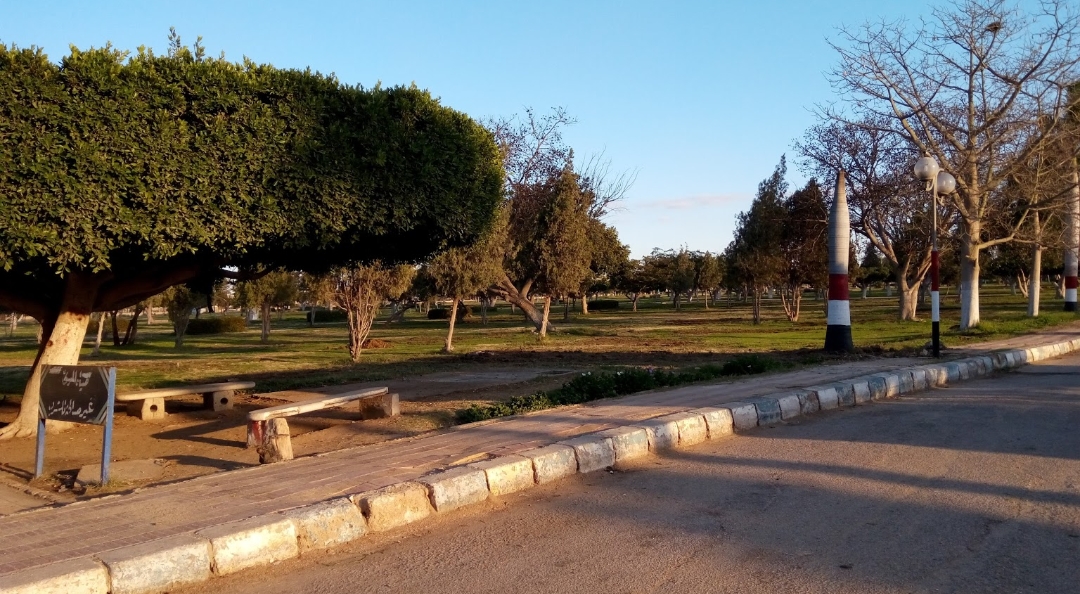 حديقة الكفراوي