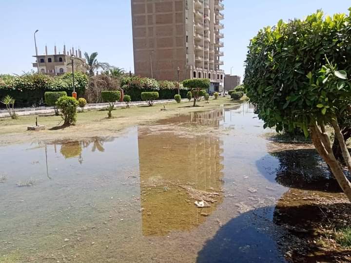 FB_IMG_1620037363530