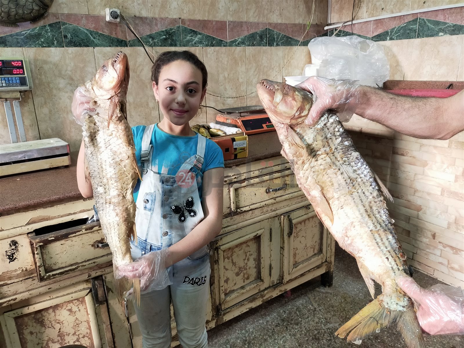 استعدادات الدمايطة في الفيوم بشم النسيم