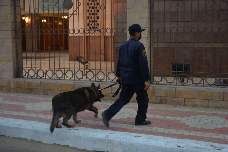 DSC_0484_copy_800x534_2