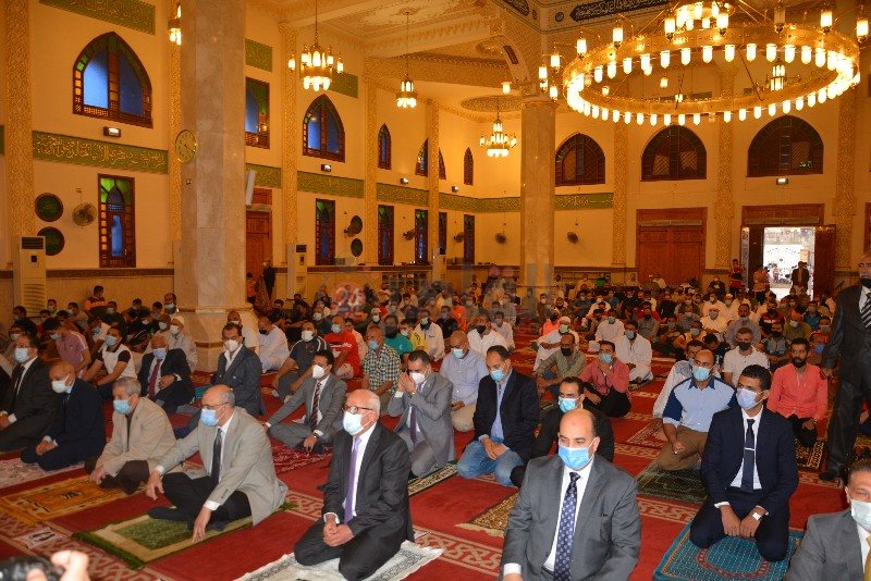 DSC_0492_copy_800x534_2