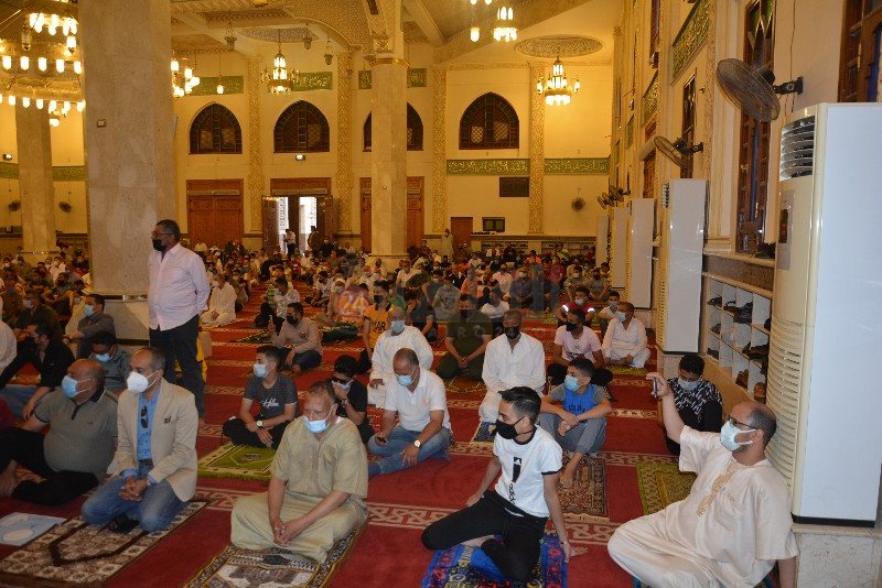 DSC_0495_copy_800x534_2