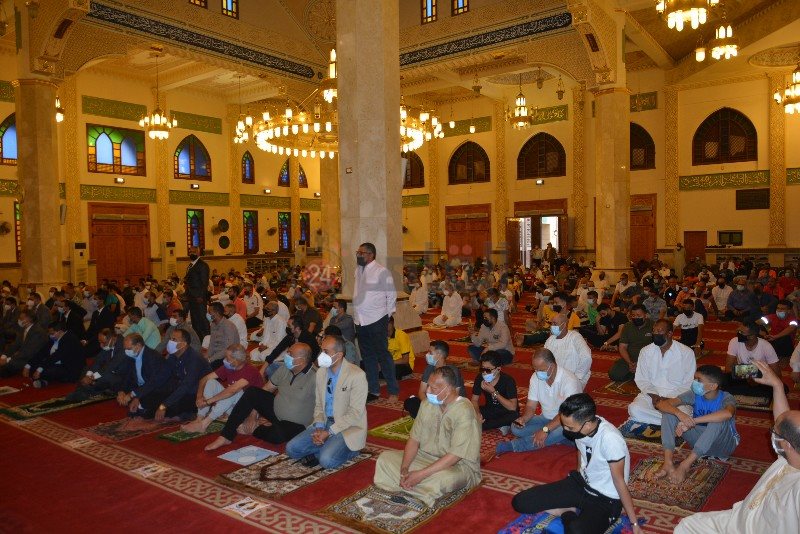 DSC_0494_copy_800x534_2