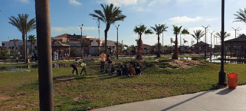 ٢٠٢١٠٥١٣_٠٦٥٥٣٦_copy_800x361