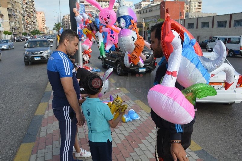 DSC_0524_copy_800x534_1