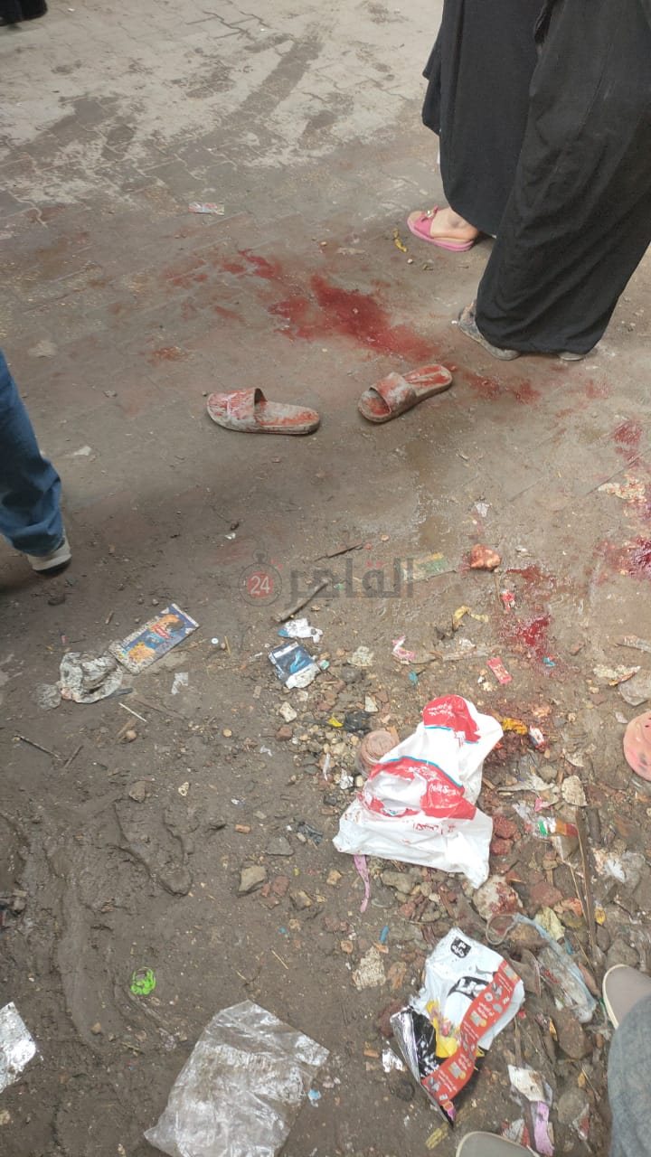 5015d358-6c1b-453e-af15-a2bf78218eb0