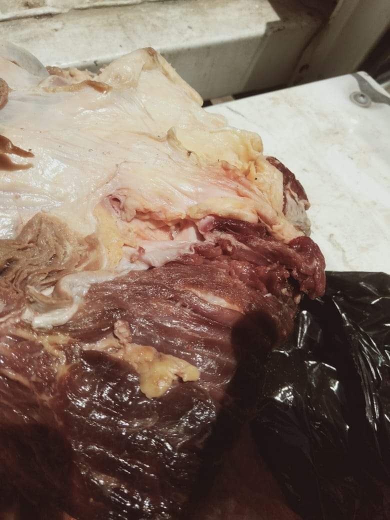 ضبط لحوم فاسدة ومصابة بالحمى في الفيوم