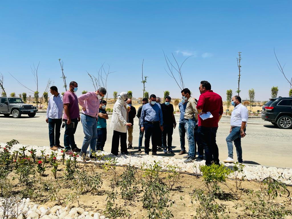 187603892_1933223253522697_98394955327139492_n