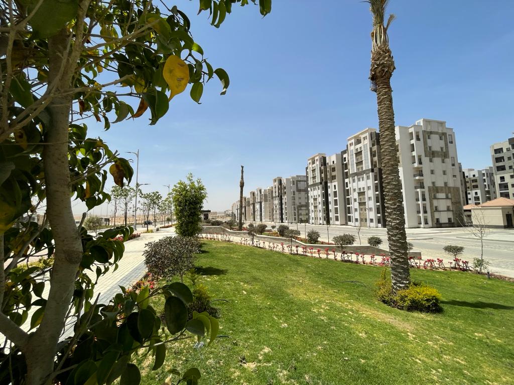 187835267_1933223243522698_7254164885013606208_n