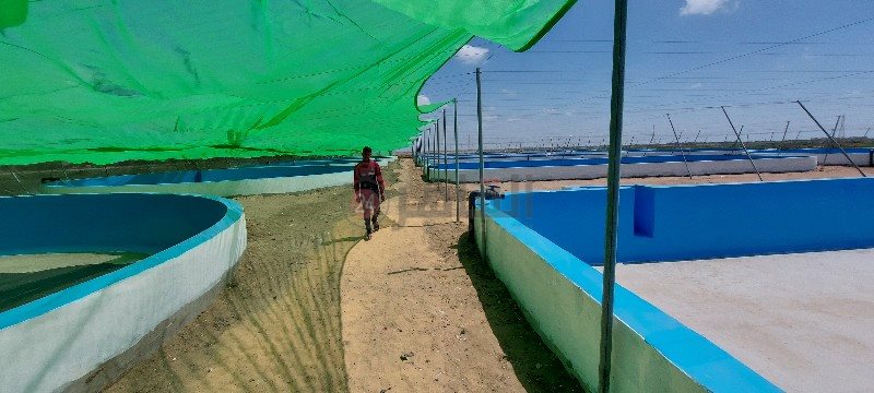 ٢٠٢١٠٥٢٢_١٣٣٧٣١_copy_800x360