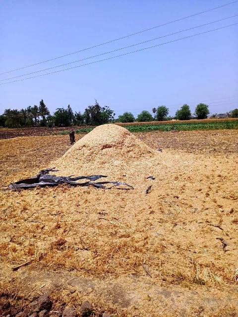 l,sl pwh] hgrlp fhgavrdm