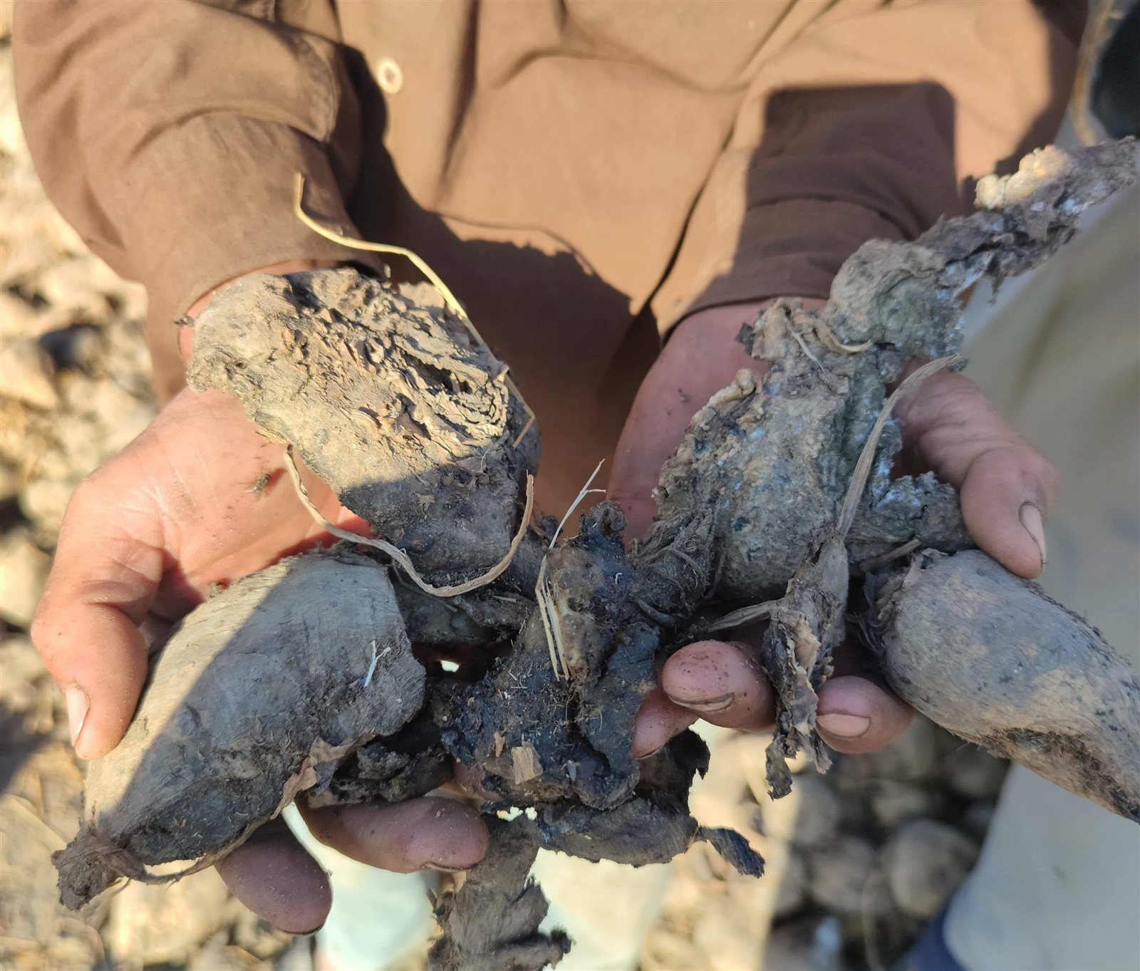 received_164607722292135