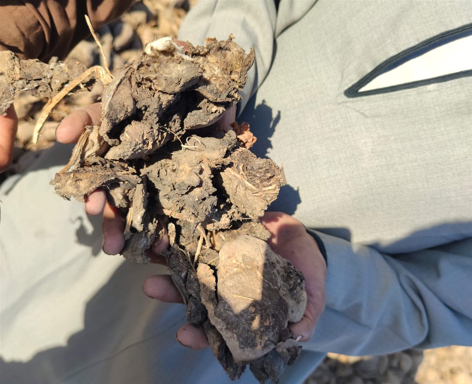 received_1108800376196053