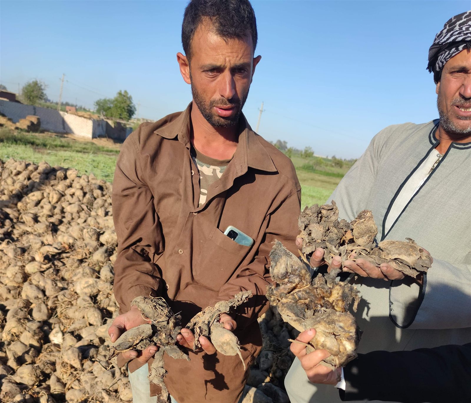 received_5532880760071651