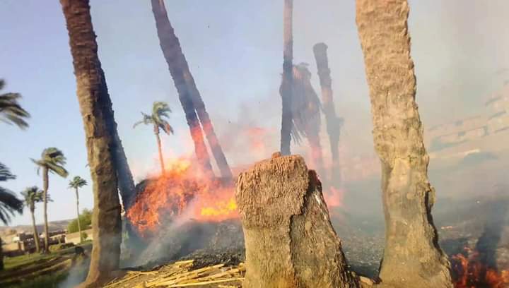 FB_IMG_1622259003618