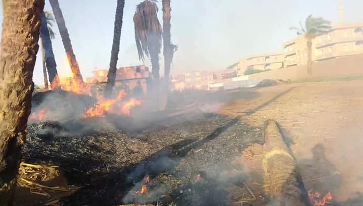 FB_IMG_1622259006122