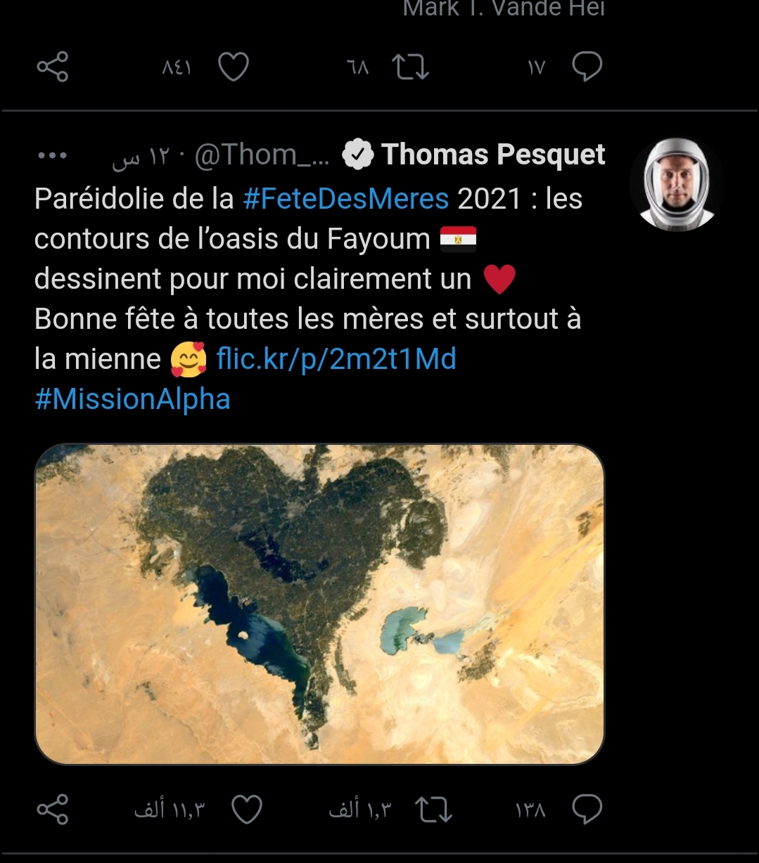 المنشور الخاص بتوماس بيسكيت عن واحة الفيوم، على تويتر