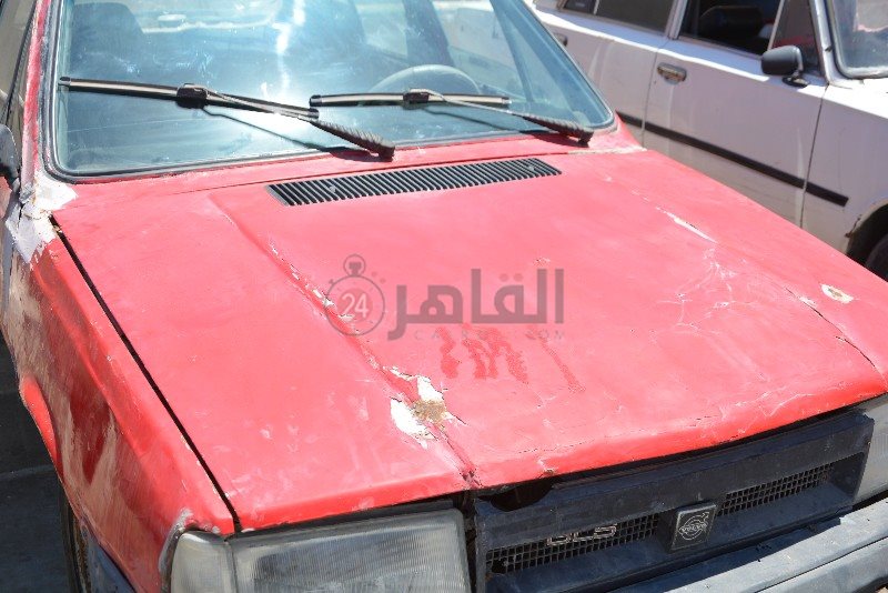 DSC_0074_copy_800x534_1