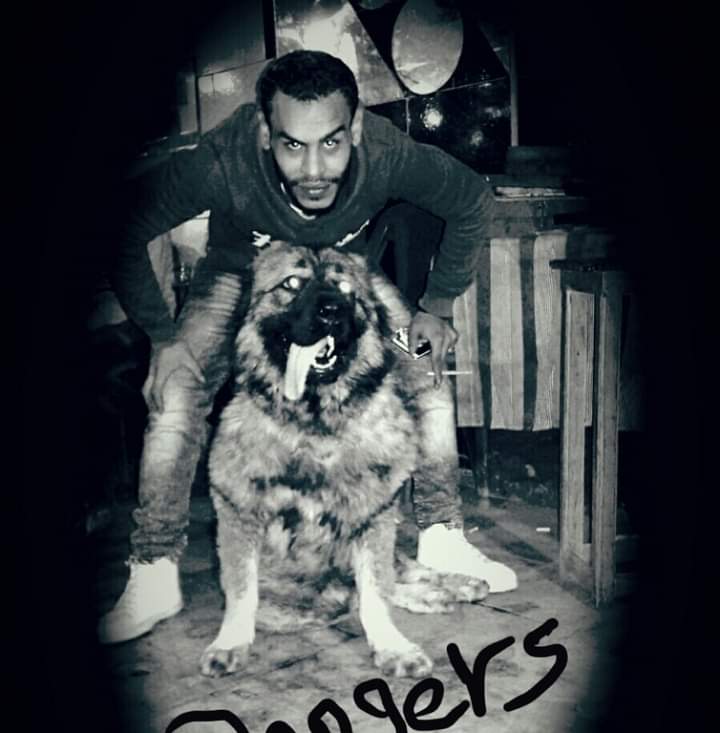 ea822d3f-29ca-46c8-a5af-cba351bebae8