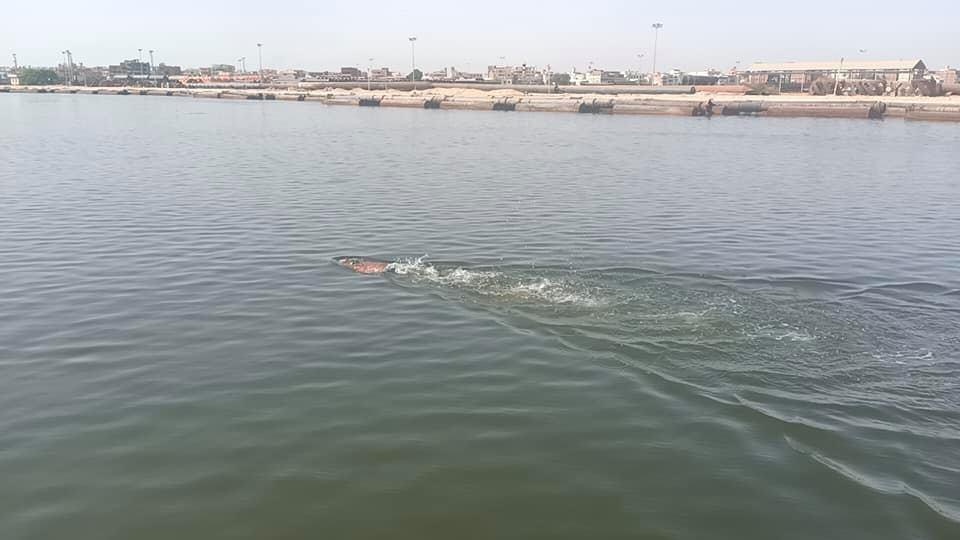 0E2188E9-312E-4BA6-A290-40C9AB32B6C7