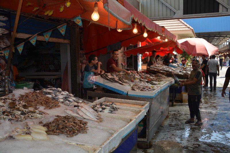 DSC_0116_copy_800x534_2