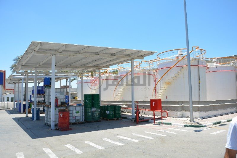 DSC_0174_copy_800x534_1