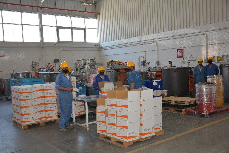 DSC_0167_copy_800x534_2