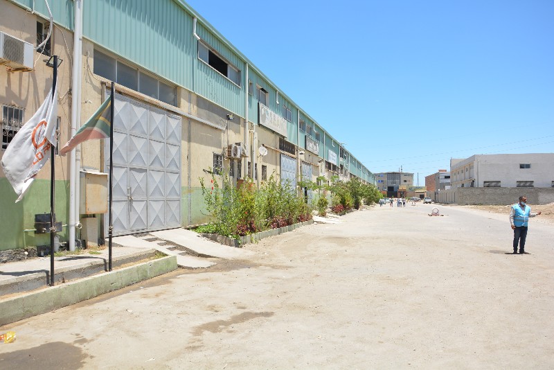 DSC_0177_copy_800x534_1