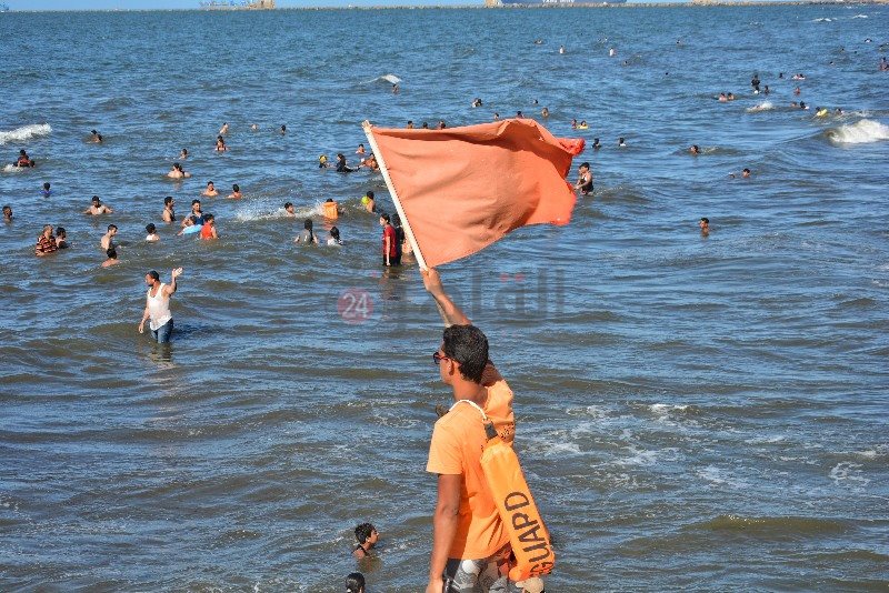 DSC_0243-01_copy_800x534