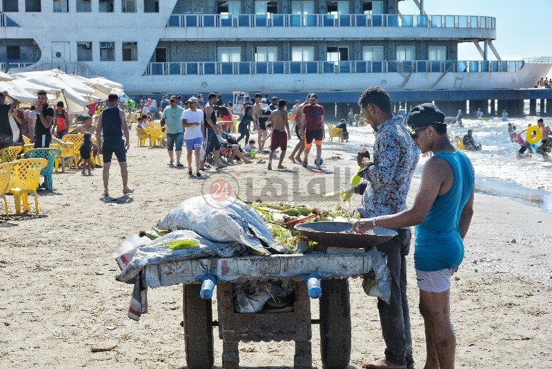 DSC_0231-01_copy_800x534