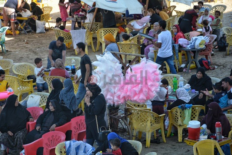 DSC_0253-01_copy_800x534