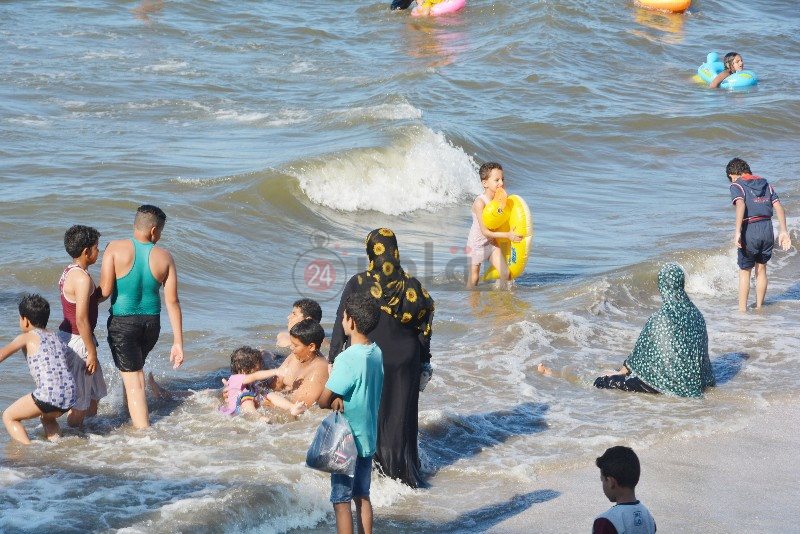 DSC_0261-01_copy_800x534