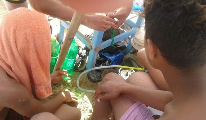 FB_IMG_1624046766348