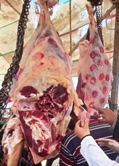 لحوم مجهولة المصدر بالشرقية