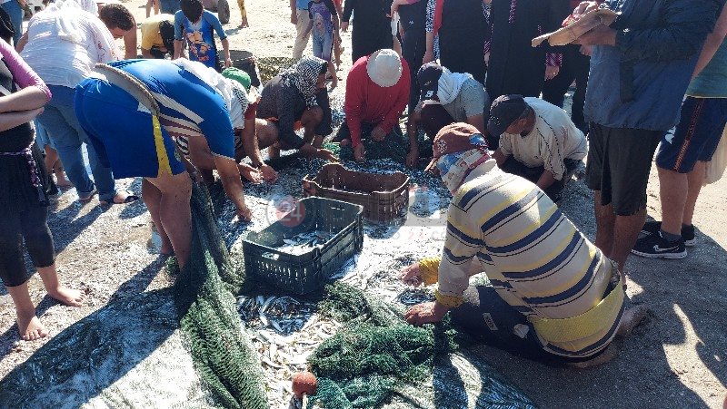 ٢٠٢١٠٦٢٤_١٥٢٨٥٢_copy_800x451