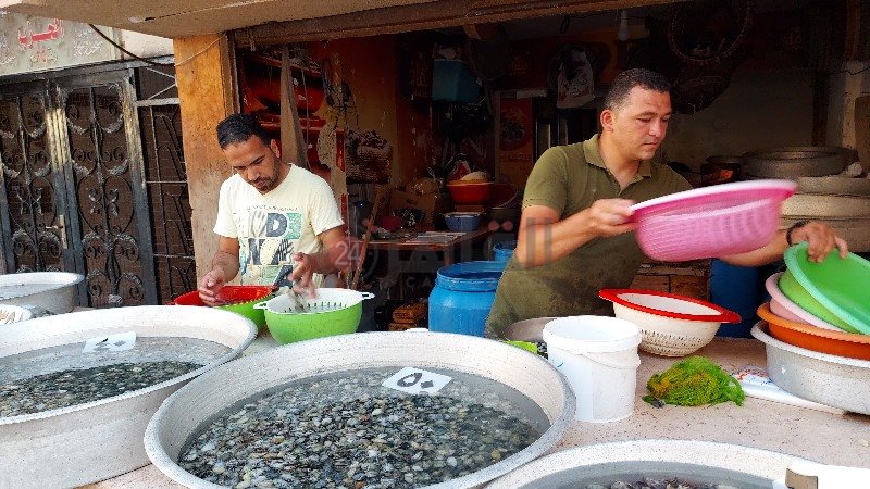 ٢٠٢١٠٦٣٠_١٧٥٠٥٠_copy_800x450