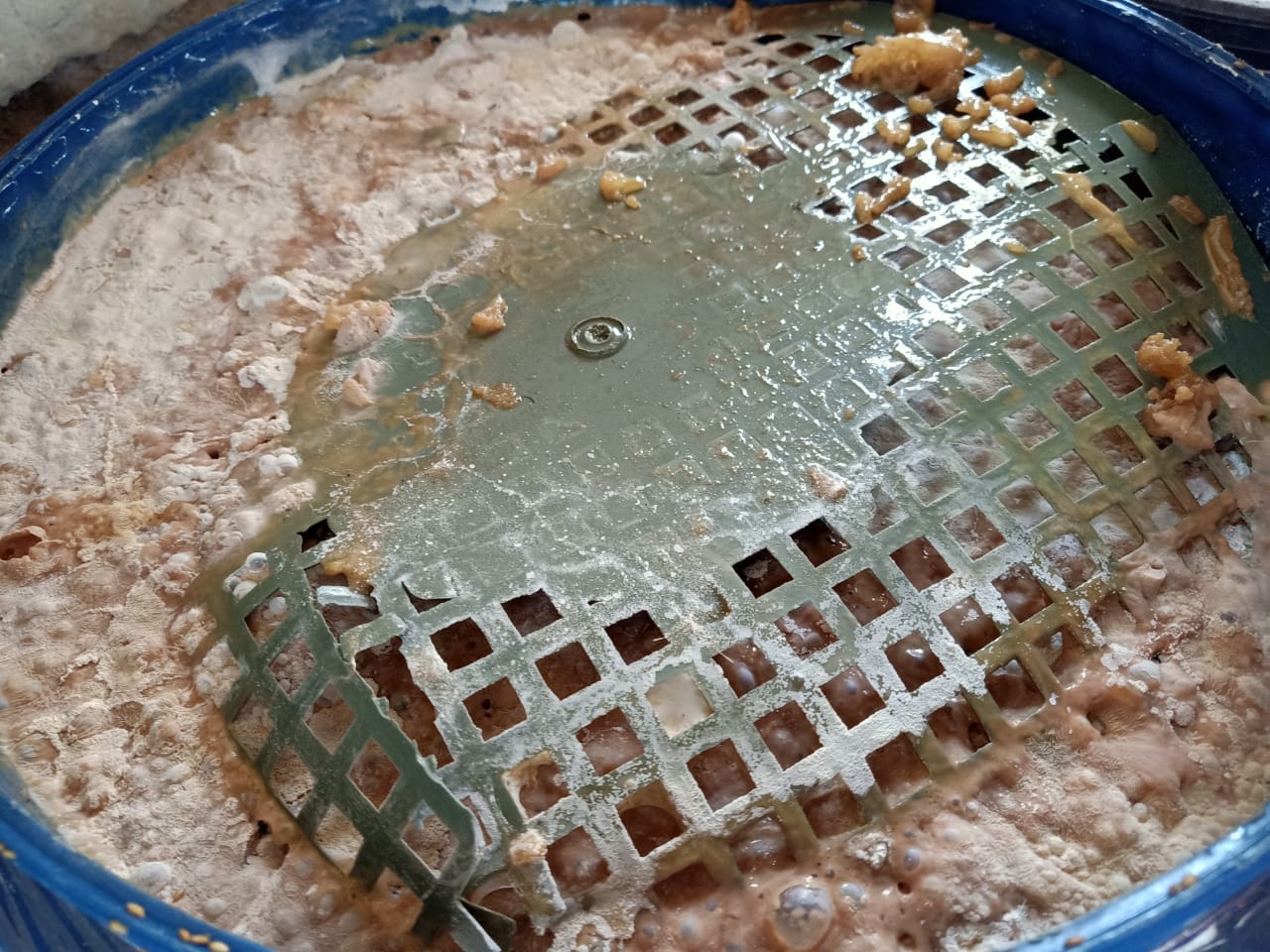 ضبط وإعدام أغذية فاسدة بالشرقية 3