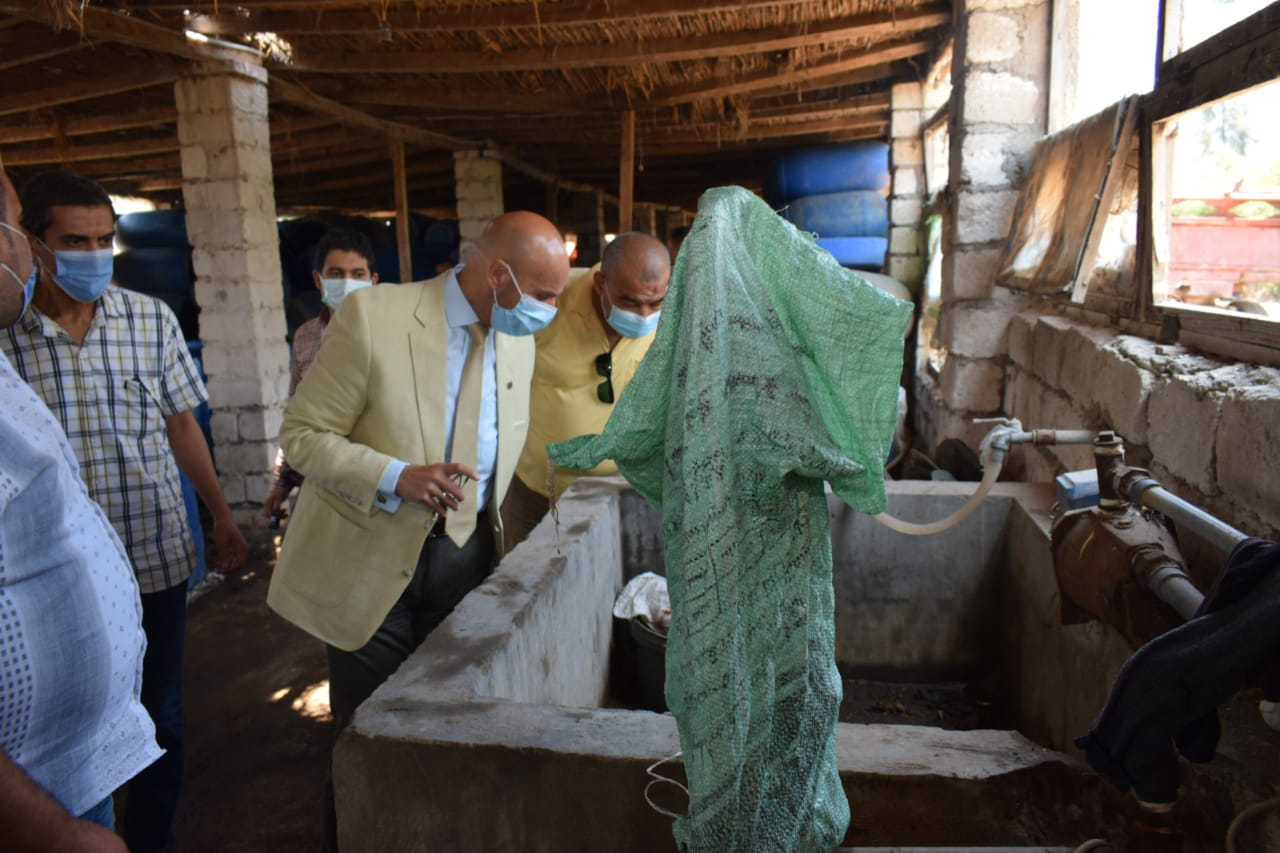 ضبط وإعدام أغذية فاسدة بالشرقية 8