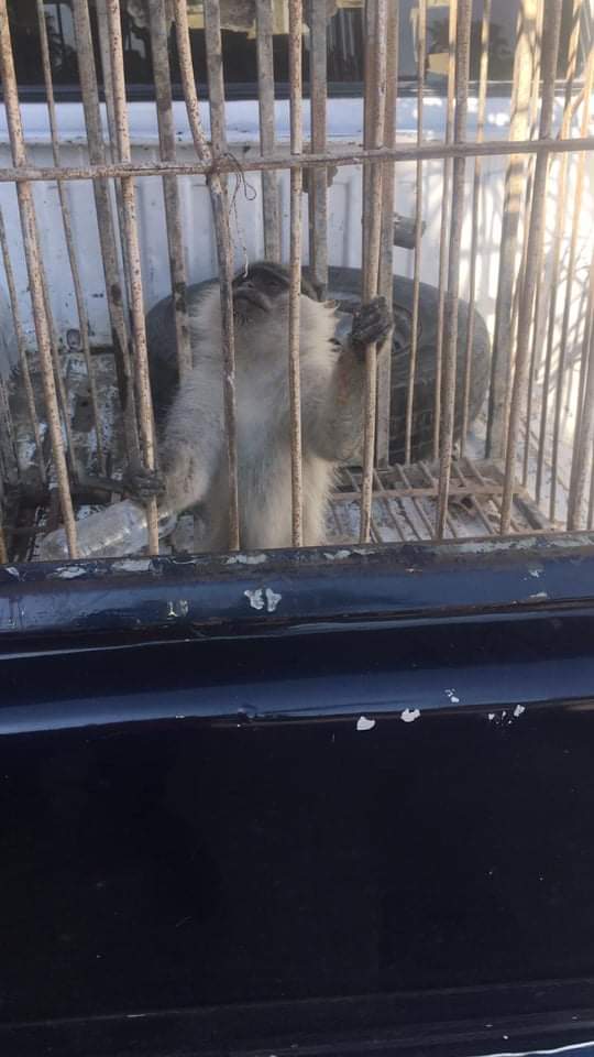 received_353941576083141