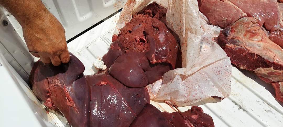 FB_IMG_1626100493767