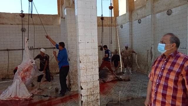 استعدادات المجازر الحكومية لاستقبال الأضاحي بالمجان في الشرقية 04