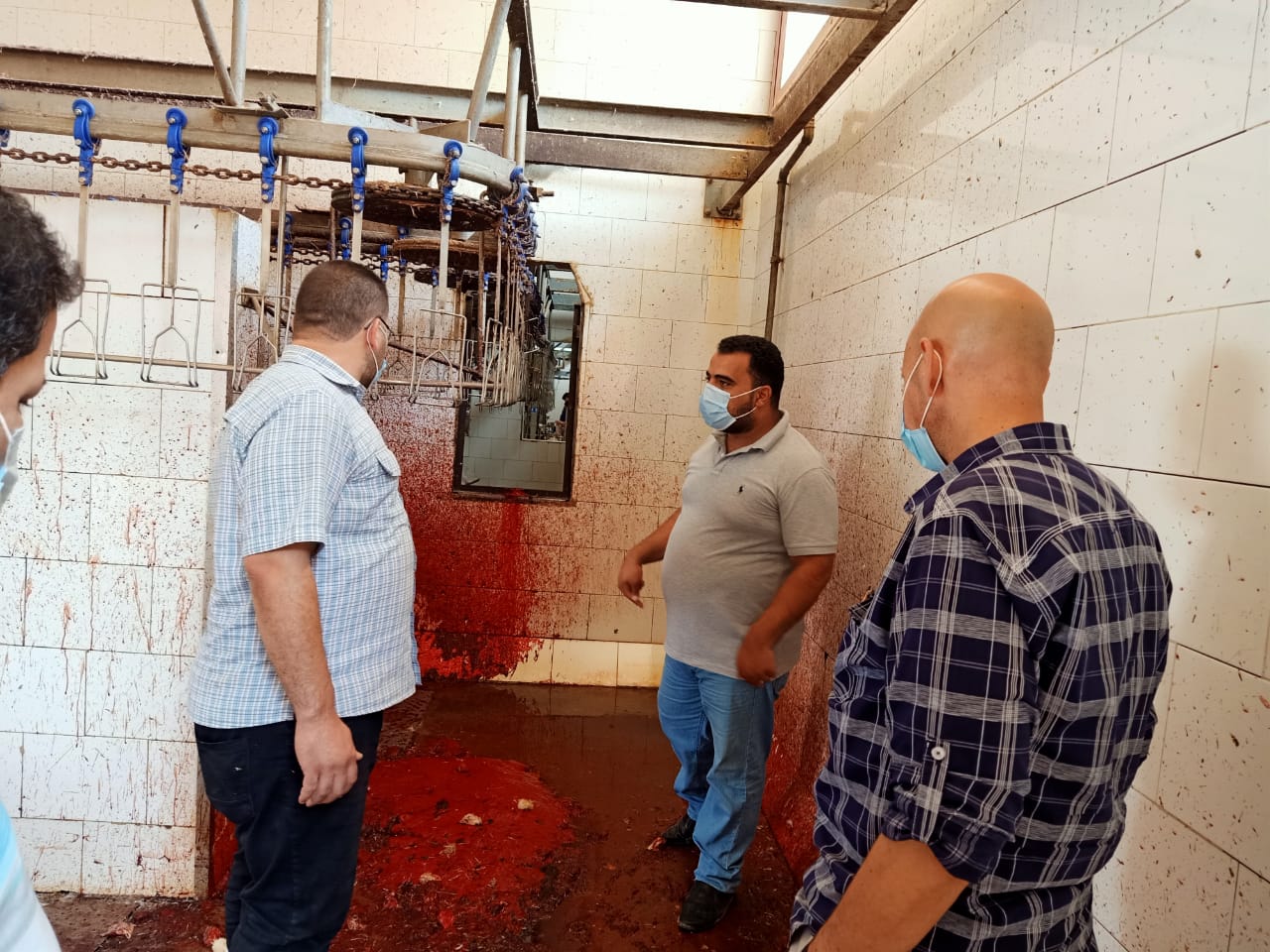 غلق مجزر دواجن مخالف بالشرقية 04