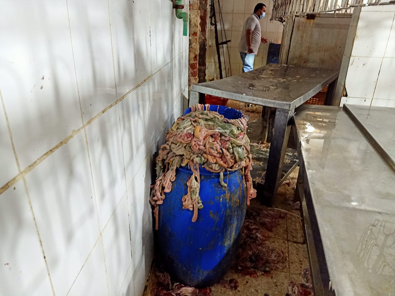 غلق مجزر دواجن مخالف بالشرقية 05