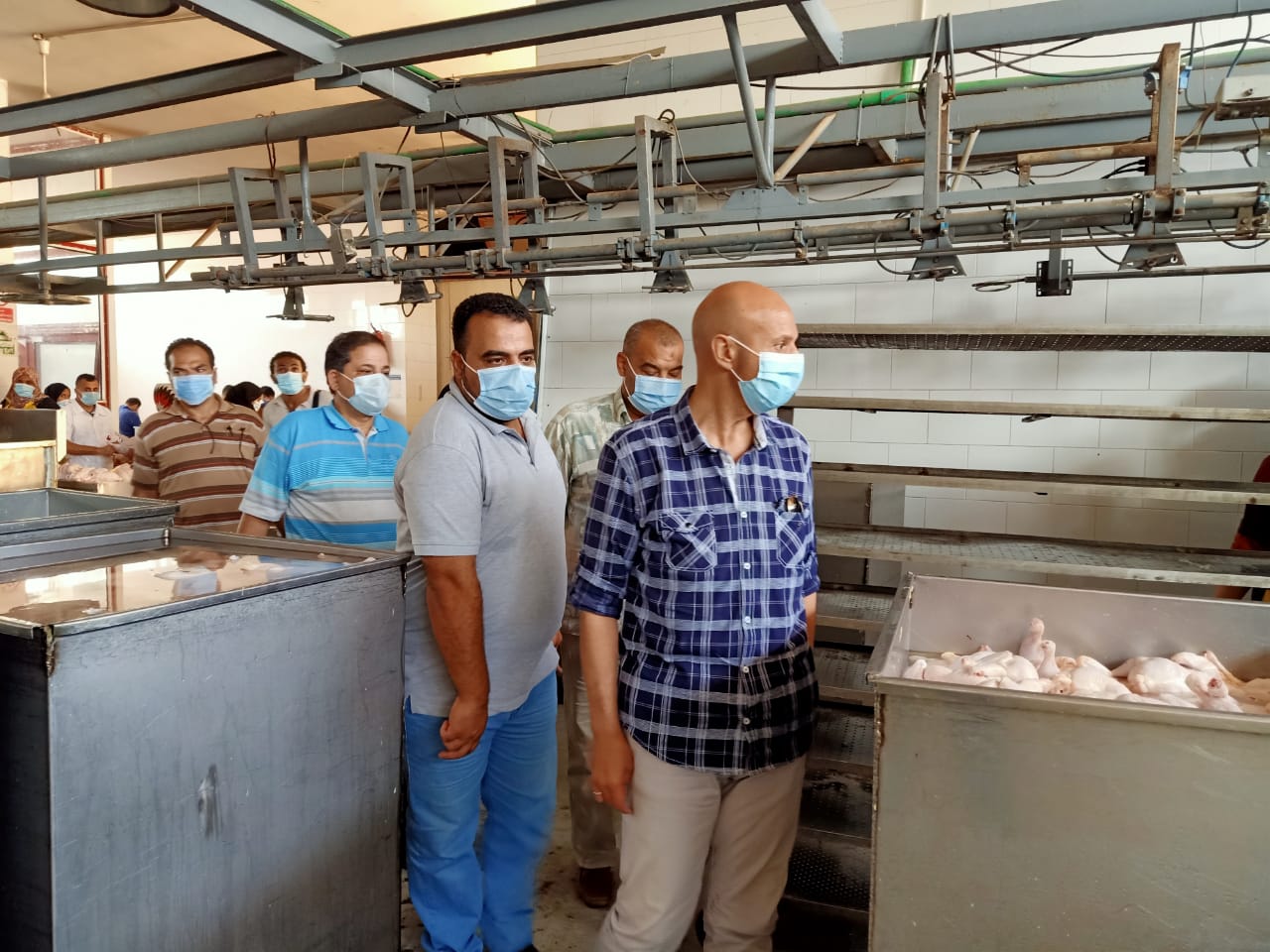 غلق مجزر دواجن مخالف بالشرقية 08