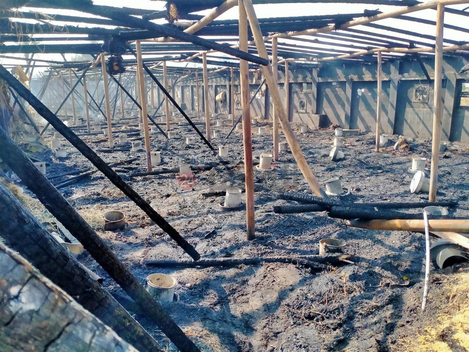 received_874146250149564