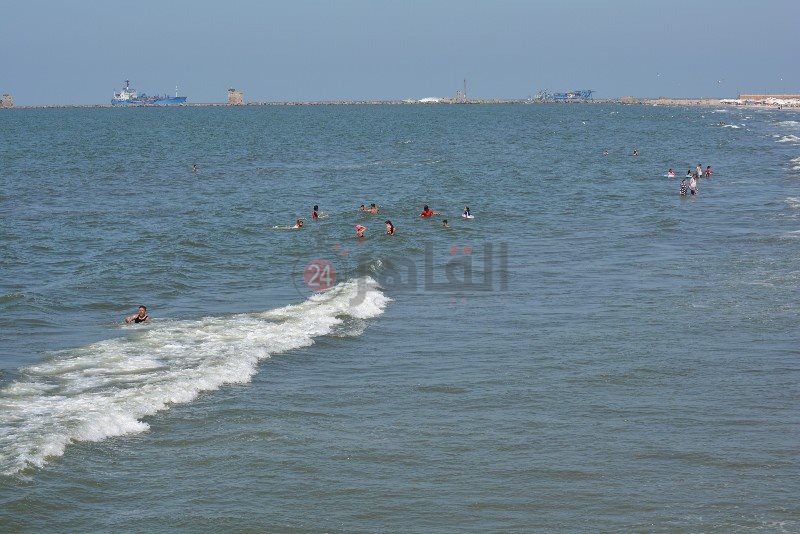 DSC_0189_copy_800x534