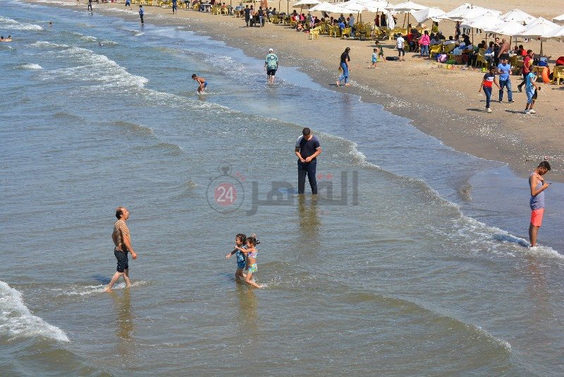 DSC_0187_copy_800x534