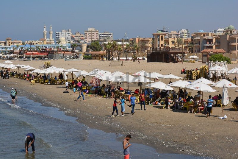 DSC_0188_copy_800x534